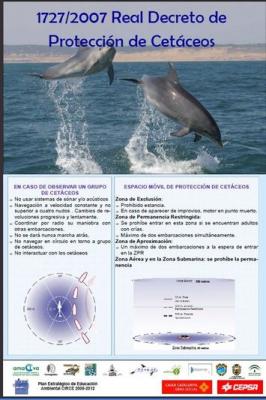 Colaboración de Obsermar con Circe para la Conservación de Cetáceos