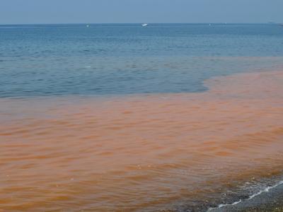 Las playas de Almuñécar se tiñen de rojo por la aparición de microalgas